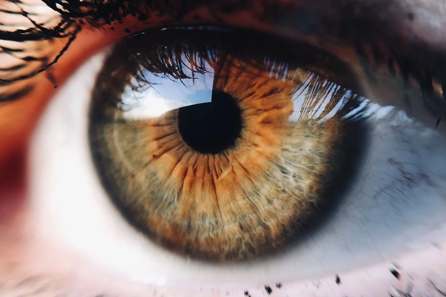 An extreme close-up of a human eye, showing the iris in detail