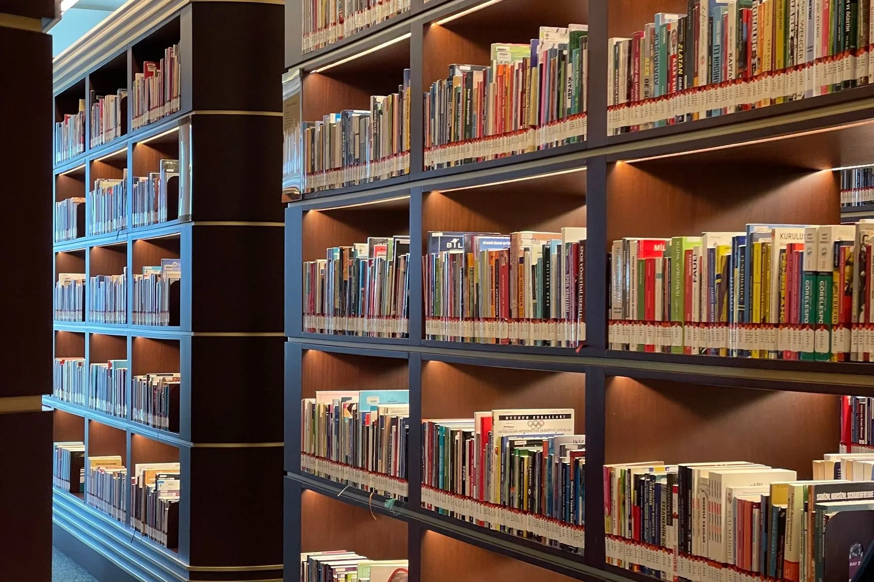 A long library aisle with floor-to-ceiling shelves of books receding in perspective