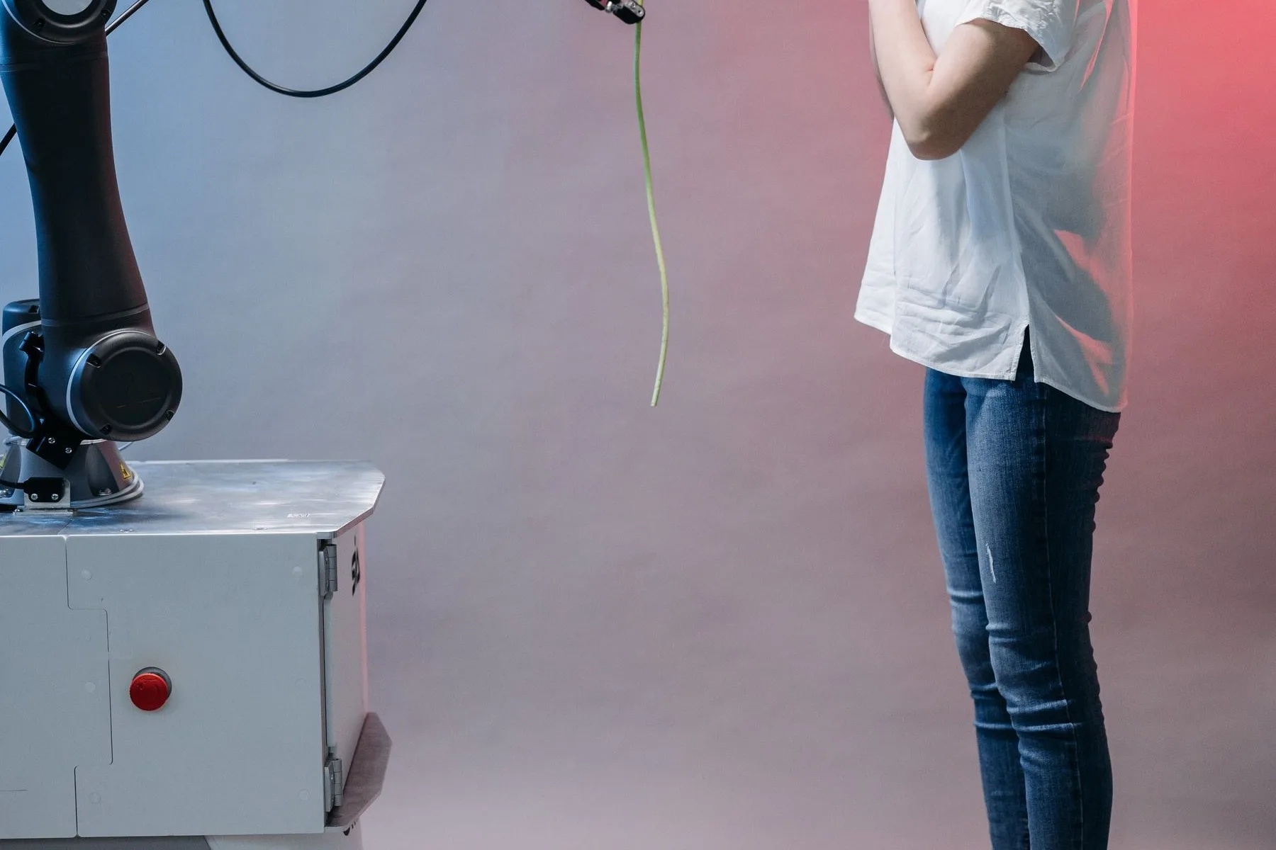 A robot arm holding a green stem beside a standing person in a studio