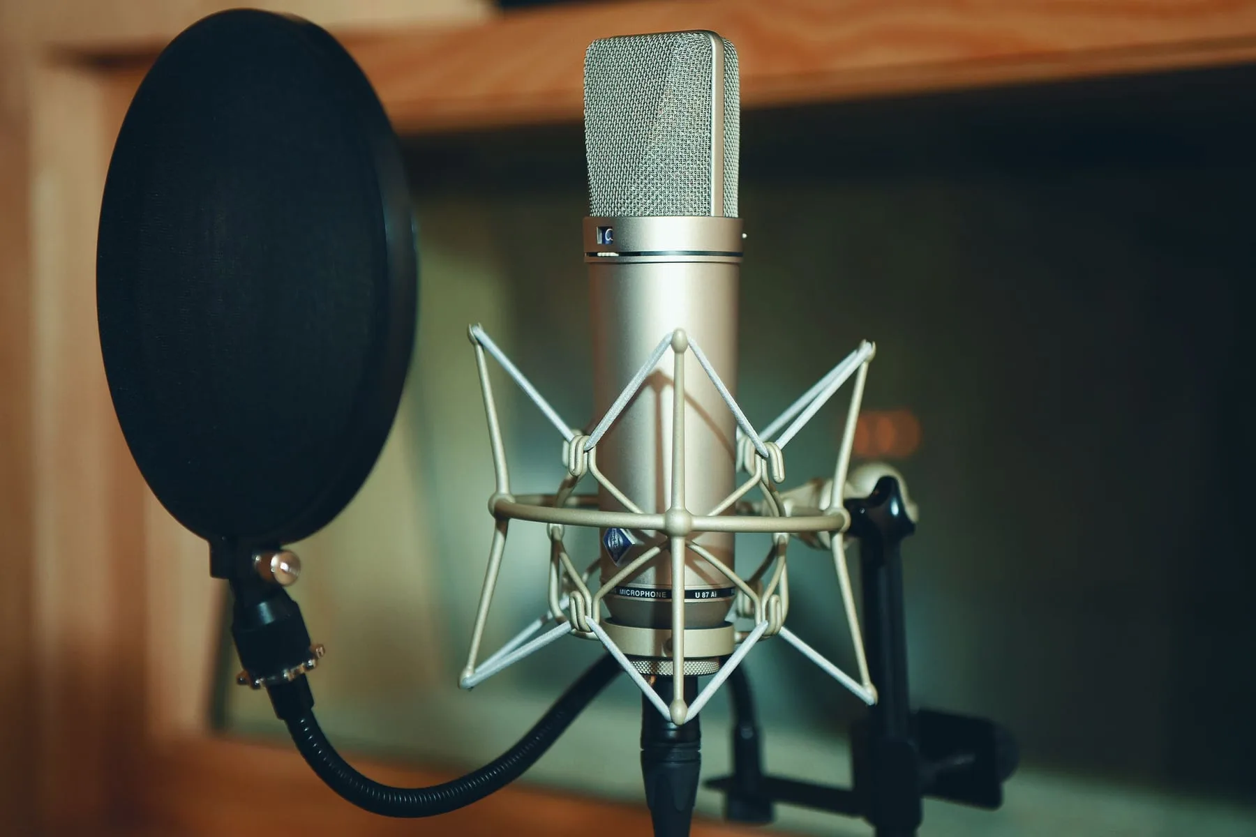 A large-diaphragm condenser microphone held in a shock mount with a pop filter